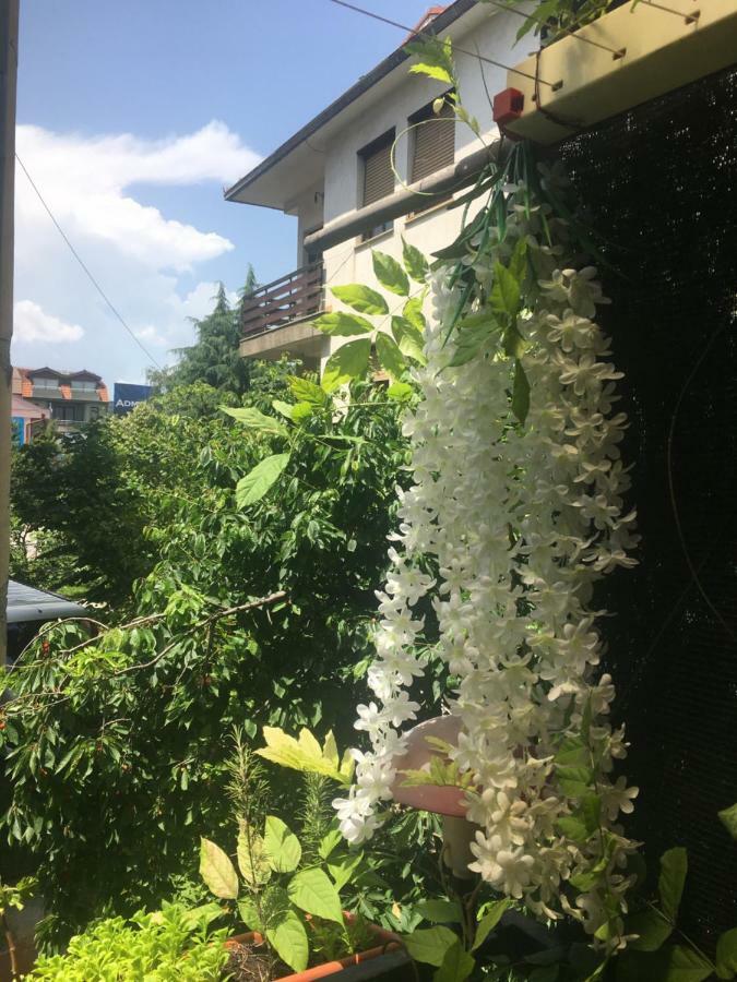Ani Apartment Ohrid Luaran gambar